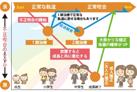 小児矯正歯科の治療の流れ