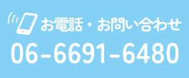 0666916480